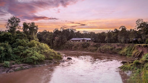Hidden deep in the forest, right on the Mara River at the heart of the reserve, Governors’ Il Moran Camp has been capped at just ten spacious safari tents to improve the exclusivity and privacy that this camp offers. 

Up to three game drives per full day will maximise your safari experience. Explore the evergreen Musiara marsh and its surrounds, home to the famous Marsh Pride of Lions, buffalos, and many wetland birds. A cultural experience to a nearby Maasai village offers a unique and enriching experience. 

Return to your luxurious tent and relax on the veranda, listening to the grunt of hippos and watching the odd crocodile slip into the water. The tents are all primly decorated and extremely comfortable with beds that you can easily fall into after a nice long day enjoying the rich variety of game in the area.

You may even catch sight of a few foraging warthogs in the camp who nuzzle for grubs in the neatly kept lawn. 

We welcome children aged 8 years and over at Governors’ Il Moran.