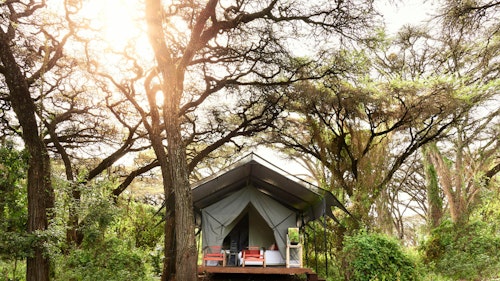 The Ngorongoro Crater is justifiably renowned as one of the epicentres of the East African safari experience. Few places can rival the density or variety of game to be found in the Crater, nor the visual impact of seeing black rhino and other species with vertical cliff walls as the backdrop. Sanctuary Ngorongoro Crater Camp offers exceptional access to this unique location – it could not be closer to where the wild things are. Morning and afternoon game drives explore the rim – itself a rich wildlife habitat – and descend into what was once a volcano and is now a ‘lost world’ with thriving populations of many iconic species. The style of the camp is classic safari – the modern amenities aside, the elegant guest tents would have been equally at home here a century ago.

INSIDER’S TIP: Take a stroll with a local Maasai warrior as your guide to gain a whole new perspective.