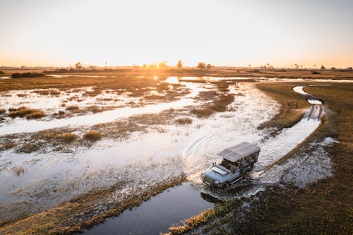 Located in the heart of the Okavango Delta wetlands, the expansive Jao Concession is home to large herds of red lechwe and the lions and leopards that hunt them. Some of the other game you can expect to see include impala, tsessebe, southern giraffe, elephant and even the odd sitatunga.

In the east, the Jao Flats boast the largest number of animals, with water channels and reed beds an attractive feature. There are also palm islands dotted in the water. Head west and the landscape becomes drier and the concentration of animals a little more sparse, but you’re likely to see larger numbers of Burchell’s zebra and blue wildebeest. Bird watching is also fantastic here. In the drier western areas you’ll see crimson-breasted shrike, Dickinson’s kestrel and Meyer’s parrot, while in the east you’ll find the vulnerable wattled crane, Pel’s fishing owl and lesser jacana.

The 60,000 hectare concession has a limit of just 66 guests across six camps, so you won't be vying for the best view while out on game drives.
