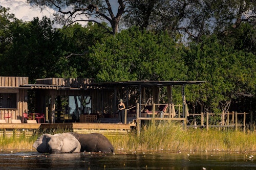 The Ultimate Botswana Safari