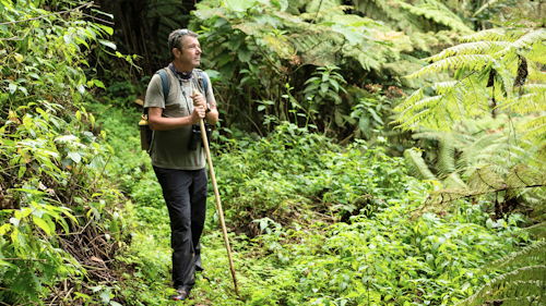 Embark on an unforgettable adventure up Mount Muhabura, a dormant volcano in the Virunga Mountains straddling the Rwanda-Uganda border. Standing tall at 4,127 metres, this majestic peak offers an exhilarating full-day hike, starting at the Volcanoes National Park's headquarters  at 07:00. 

As you ascend, take in the sights and sounds of the vibrant wilderness around you, where you might spot forest elephants, golden monkeys, mountain gorillas, duikers, and a dazzling array of bird species. Pause at a scenic lookout to enjoy a delicious picnic lunch, soaking in the beauty of the diverse vegetation and natural wonders.

Rejuvenated, continue your journey to the summit, where a breathtaking 360-degree panorama awaits, offering unparalleled views of Rwanda and Uganda. This epic journey will leave you spellbound by the beauty and grandeur of Mount Muhabura.