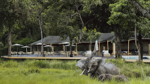 Wilderness' first camp located in the Masai Mara National Reserve's Mara Triangle, this luxury Kenyan offering promises a uniquely exclusive safari experience, thanks to the Triangle's low visitor density and strict conservation management by the Mara Conservancy.
 
Guests enjoy exceptional wildlife viewing, including the Big Five and dramatic scenes from the Great Migration at key Mara River crossing points, all within a pristine and scenic landscape of open plains, escarpments, and riverine forests. The area’s limited vehicle numbers reduce pressure on wildlife, allowing for more authentic, unhurried sightings. 
 
Overall, the Mara Triangle combines seclusion, abundant wildlife, and responsible tourism in one of Africa’s most breathtaking settings.
 
INSIDER'S TIP: Wilderness Mara is the only camp that allows guests across to both sides of the Mara River, opening up more space, more wildlife, and fewer crowds.