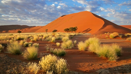 Populated with some of the world's highest dunes, all set beneath a deep blue sky, Sossusvlei is located in the enormous the Namib-Naukluft National Park. This rippling sand sea of huge dunes has been shaped by the winds and the underground Tsauchab River. Solitary dead acacia trees plot the old routes of the river, some even from 500 years ago, and when the rains do arrive (January to April) the pans really come alive with yellow devil thorn flowers and the dunes bloom green in places.

Even rarer is once a decade or so, torrential rains flood the pans bringing an explosion of life, where lilies and dragonflies appear, and even birds arrive for this special occasion.

Spend your days here exploring the desert sands on foot and by quad bike. When you're back at your accommodation, have some drinks and watch the sun set in one of the world's most striking locations.