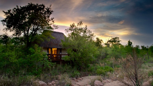 Situated in the iconic Sabi Sand Game Reserve, a recognised biodiversity hotspot in the greater Kruger National Park, Sabi Sabi is blessed with an astonishing variety of habitats and wildlife. Hidden in the shade of indigenous riverine trees on the banks of the dry yet productive Msuthlu River, Little Bush Camp is the smallest and most secluded of our lodges. A showcase of safari chic in a relaxed environment, it’s ideal for exclusive use by small groups. Each of the six suites has an en-suite bathroom, private deck and heated spa bath overlooking the riverbed and surrounding bush. Relax in our inviting lounge and enjoy delicious culinary experiences including dinners served under the African night skies in the boma.

INSIDER’S TIP: You will have an excellent chance of close encounters with the Big Five as well as cheetah, wild dog and all species indigenous to the area.