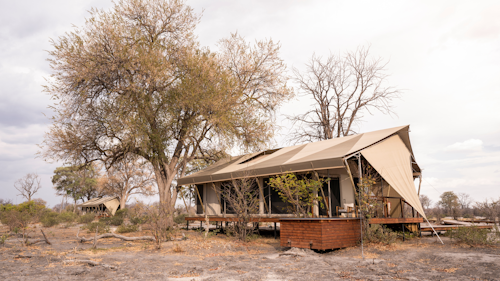 In our search for the most raw, remote, and untamed places on the planet, we discovered somewhere so wild, so abundant with life, it left us breathless, and a little bit emotional. Join us and explore where few have ventured before. Be one of the first to venture to this camp in a completely untouched area, where Wilderness is pioneering a safari experience unlike any you’ve seen before.

The name Mokete means celebration or feast. It’s a place to feast on the unexplored and celebrate the untamed. Here the action never ends. This is a place to be awed by the majesty of Africa with an unrivalled diversity of wildlife.

To place you in the heart of the drama, we’ve forgone walls and added cantilevered canvas roofs that slide away, revealing never-ending stars. Accommodating just 18 guests in nine tents, pioneering Mokete provides one of the most promising possibilities of intimate encounters all year. Whether sharing a drink with elephants in the middle of the day, or hearing hyena calls in the dead of night, it’s a feast for the senses.

Insider's Tip: Be sure to spend some time at the sunken hide, eye-level with the colossal feet of breeding herds of elephants.