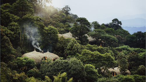 Wilderness Bisate is located in the natural amphitheatre of an eroded volcanic cone and has dramatic views of the peaks of the volcanoes, Bisoke and Karisimbi, rearing up through the Afro-alpine forests of nearby Volcanoes National Park. Six luxurious en-suite Forest Villas maximise comfort and views, while retaining environmental principles and reflecting the culture of rural Rwanda. Each guest contributes to Bisate’s biodiversity conservation and local community projects – making a far-reaching impact on an iconic endangered species: the mountain gorilla.

Aside from tracking one of the several habituated gorilla groups, activities include visiting nearby natural attractions, hiking to Dian Fossey’s burial site, and observing the Park’s group of endangered endemic golden monkey. Walks on Bisate’s property offer birding and participation in the reforestation programme.

Insider's Tip: Wilderness Bisate is within easy driving distance of Volcanoes National Park Headquarters, from where gorilla treks depart daily.