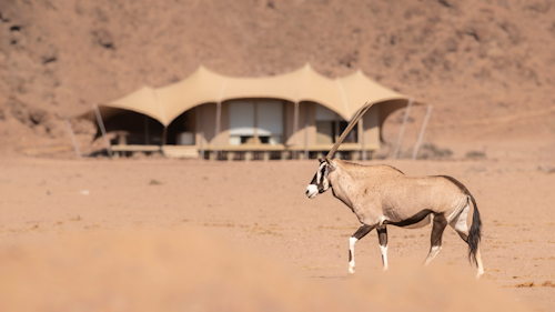 The name “Skeleton Coast” conjures up romantic images of desolate beauty, and the proudly remote Wilderness Hoanib Skeleton Coast Camp in the Kaokoveld does not disappoint. The dry bed of the Hoanib River supports a thin green ribbon of vegetation and the wild beaches of the Atlantic coast are within reach, with their noisy seal colonies and eerily quiet shipwreck remnants.

Eight large en-suite tents (including one family unit) and the main area provide shady viewpoints, while nature drives into the surrounding area reveal a wealth of desert-adapted wildlife. Desert-adapted lion and brown hyena may also be glimpsed in this vast but far from lifeless landscape. 

Insider's Tip: On a stay of three nights or more, a coastal excursion to The Skeleton Coast is included. Usually involving a drive down to the coast and a flight back to camp, to see such a diverse area both on the ground and in the air.
