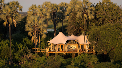 Wilderness Kwetsani offers the perfect Okavango ‘combination’ experience. Its extremely remote location gives access to both water and dry land areas, allowing guests to see all aspects of the Delta’s makeup. Unique "tree house" style tents provide exceptional views from their elevated positions, looking out over floodplains dotted with game.

The five tents combine with the cool thatched main area to form a self-contained safari world – a fusion of creature comforts and incredible wildlife moments. Access to Hunda Island for game drives, plus water activities in search of species rarely encountered elsewhere, contribute to Wilderness Kwetsani’s comprehensive activity offering.

Insider's Tip: Lie back on the loungers at the pool on a sunny afternoon while looking out for wildlife and “Delta Specials” or enjoy sightings from the comfort of your private room.