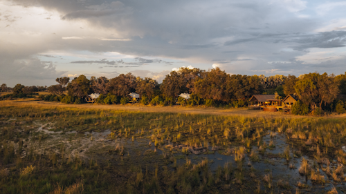 Wilderness Chitabe’s location places it at the heart of a complex and beautiful mosaic of habitats, and this diversity results in Wilderness Chitabe being one of the most storied of all Botswana’s areas. Experienced, passionate guides are inspired by the intricate and dynamic landscapes to deliver wildlife experiences few other locations can match.

Eight elevated, meru-style guest tents provide the perfect human habitat, while a stroll along the elevated walkways connecting them to the main area is a safari experience in itself. Day and night drives, and guided walks, showcase the varied wildlife and landscapes of the Okavango. 

Insider’s Tip: Learn more about the African wild dog packs of the area; if you’re lucky you’ll see some of these endangered carnivores. 


