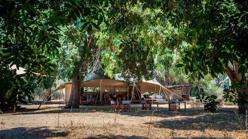 Wilderness Little Ruckomechi offers an intimate Mana Pools experience, in the style of the bygone days of safari, without detracting in any way from the wildlife experience. The shady ana trees and views of the Zambezi River and the Zambian foothills beyond are some of the hallmarks of this region, and Wilderness Little Ruckomechi provides all of them. 

This seasonal camp (winter/dry season only) offers an authentic safari experience through a mix of game drives, boating and guided nature walks, adding to the sense of exploring an untouched wilderness area.

Insider’s Tip: A guided nature walk is a thrilling way of exploring the surrounding bush and often heralds many exciting sightings.  