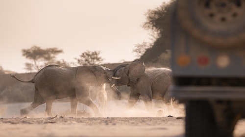 Namibian Adventure Safari