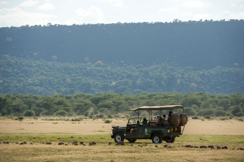 Dive into the lush wonder of Lake Manyara National Park, a hidden gem set between Arusha and the famed Ngorongoro Crater. Renowned for its vibrant landscapes and the iconic tree-climbing lions, this park offers a unique safari experience where each turn reveals more of Tanzania's natural beauty.

Journey through dense forests, open savannas, and scenic shores as you encounter elephants, giraffes, buffalo, and flocks of pink flamingos sweeping across the lake's glistening waters. Keep an eye out for the park's famously elusive lions lounging in acacia treesa rare behavior that makes Lake Manyara truly unforgettable. With a diverse range of ecosystems, this park is also home to over 400 bird species, making it a paradise for birdwatchers.

Wrap up your day with an awe-inspiring sunset over the lake, painting the sky in shades of pink and gold. This adventure is sure to leave you spellbound and inspired by the wonders of Tanzania.