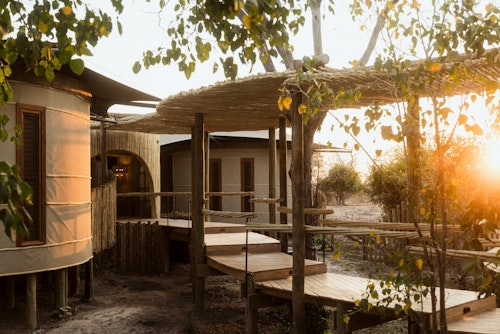 A place of rejuvenation, nourishment, sensation and connection, The Sanctuary at Mombo has been carefully designed to help you find your natural equilibrium, with facilities that allow the pulse to quicken and slow, for an all-encompassing wellness experience. Move through your body in our gym and lap pool, find stillness at our spa, in our meditation cocoons, saunas and ice baths, and discover Africa’s healing ingredients at our deli and remedy bar. Every space invites you to explore what it truly means to live well – in body, mind, and spirit.