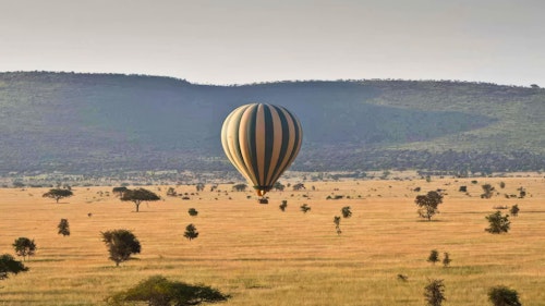 Embark on a once-in-a-lifetime adventure with Serengeti Balloon Safaris. With over 30 years of experience, the company provides a bird's eye view of the stunning landscapes and iconic wildlife that define this safari hotspot.

Your adventure begins early, with a 4 AM start, and featuring an exciting drive in the dark from your camp to the designated take-off spot. Keep an eye out for the chance to spot elusive nocturnal creatures in motion. As the burners roar and the balloon's giant envelope fills with hot air, your heart races as the balloon gracefully ascends into the sky. 

Over the course of an hour, you will be treated to extraordinary views over the Serengeti, before descending for a traditional champagne toast. 

Relive the magic of your journey over a classic bush breakfast served under an iconic acacia tree, complete with fine bone china crockery. Throughout the experience, you will have the opportunity to learn about hot air balloon navigation in all three dimensions, while the low burner noise ensures minimal disturbance to the wildlife below. Your morning comes to an end at 9:45 AM, as you receive your Serengeti balloon certificate and continue your day of adventure.

After breakfast, you receive your Serengeti Balloon certificate and later meet up with your safari driver at approximately 09:45 ready to continue your days activities