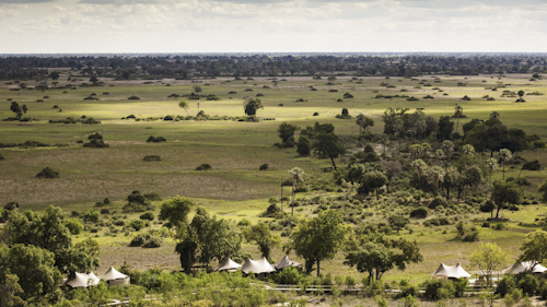 Wilderness Mombo, on Mombo Island just off the northern tip of Chief’s Island, is built under large shady trees and overlooks a wonderful floodplain teeming with wildlife. 

Accommodation comprises eight spacious suites raised off the ground, all built to maximise the vistas over the plains. Each tent is elegantly furnished, complete with en-suite bathroom, a dressing area, indoor and outdoor showers; as well as a bathtub that creates a sense of indulgence. The expanded deck includes a sala and plunge pool.

A large living and dining area looks out over that same view, while Wilderness Mombo’s famous traditional dinners are hosted in the nearby boma. Wilderness Mombo shares a Safari Boutique, spa, gym and lap pool with Wilderness Little Mombo. Large concentrations of plains game often occur in front of camp, and you may see a variety of animals without even leaving the veranda.

Insider’s Tip: Arguably the best big game viewing in all of Africa with a bountiful hunting ground for large prides of lions and leopards.
