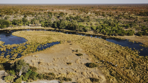Wilderness King's Pool consistently delivers the best dry season game viewing in far northern Botswana. Situated on the border with Namibia’s Caprivi Strip, Wilderness King's Pool is in an area vital to the seasonal movements of elephant herds and to the survival of rare roan and sable antelope. Looking down over the Linyanti River and up from the safety of sunken hides gives guests unexpected angles from which to witness great wildlife moments.

Seven well-appointed twins and one family room, all made of canvas, wood and, thatch, soak up the views of the lagoon. The main area, deck, and bar offer uninterrupted views with closer proximity to the water, while parts of the roof extend down to ensure privacy.

Insider’s Tip: Special highlights include sundowners on the Queen Silvia barge and time out at the unique underground hide!
 
