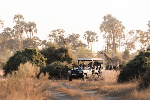 Untamed & Exclusive Botswana