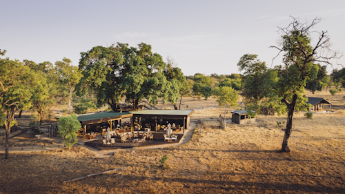Nestled discreetly beneath a grove of false mopane trees, Wilderness Davison's is located in the private Linkwasha Concession - one of the most prolific wildlife areas in Hwange National Park. Hidden within a treeline, this African safari camp overlooks an open plain and a waterhole that attracts large numbers of animals, especially thirsty herds of elephant and buffalo in the dry season. 

Guests staying in one of Wilderness Davison’s nine tents (including a family room) can enjoy the quintessential Hwange experience, viewing the wildlife on game drives and guided nature walks in this diverse and exciting area. Arranged directly in camp only, and subject to vehicle availability, it may be possible to include a visit to one of the local villages. Subject to availability, guests may have the opportunity to visit and learn more about the Scorpion Anti-Poaching Unit team.

Insider’s Tip: A small upper deck in the main area is the ideal location from which to watch wildlife at the waterhole. 


