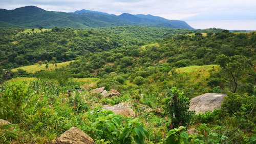 TANAPA concession fees for Lake Manyara National Park.