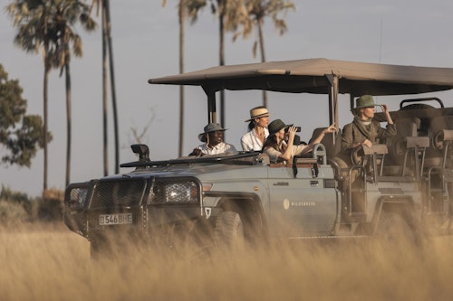 At Mombo, twice-daily game drives showcase the most remarkable wildlife concentrations found in this part of the Okavango Delta. Setting out at first light, you’ll explore floodplains, grasslands, and groves of giant fig trees in open 4x4 vehicles, when predators are at their most active. The area is world-renowned for its density of leopards and encounters are frequent while lions are are also commonly seen with large resident prides. 

Wild dogs, cheetahs and spotted hyenas add to the predator list while elephants and buffalo gather in impressive numbers, and plains game from giraffe to zebra and acquatic red lechwe are also common sightings. A stop for coffee in a scenic spot breaks up the morning before returning to camp for a leisurely brunch and time at the spa, pool or enjoying a siesta.

As the day cools, afternoon drives offer another chance to see wildlife emerge, often in golden light that makes for superb photographic opportunities. With very few vehicles traversing vast private wilderness, sightings at Mombo feel unhurried and deeply personal.