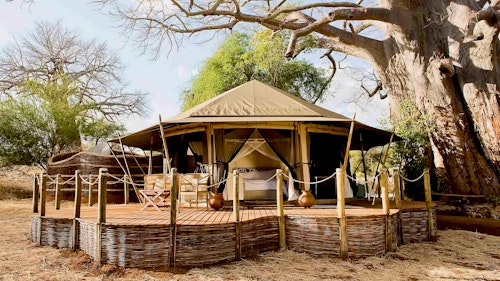 People who know Tanzania well rate Tarangire as one of the country’s most interesting parks, and Sanctuary Swala is the best way to experience this hidden gem on the northern safari circuit. This is perhaps one of the best places to see elephant in large numbers – guests looking out from under the acacia trees which shelter the camp are likely to see herds ambling past at almost any time of the day. The camp is situated in a secluded location, further adding to the feeling of exclusivity. The canvas and thatch guest pavilions provide shady private spaces, while the focus on game drives and walking safaris gives guests the opportunity to explore the almost limitless wilderness around the lodge. Tarangire and Sanctuary Swala make ideal additions to any Tanzanian safari itinerary.

INSIDER’S TIP: Visit the Mwika Beekeeping Project for some sweet deals.