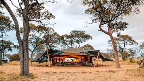 Wayo Serengeti Green Camp follows the migration from north to south in Serengeti National Park. The plains are where much of the migration activity takes place, from hundreds of thousands of births to impressive predator activity. Serengeti Green Camp is the ideal base for exploring the abundance of these plains. The camp has been redesigned to celebrate local cultures, and incorporates custom crafts from the area, showcasing innovative interior flair. Ten spacious tents open up for a full immersion into the landscape. The rooms are decked out in fresh cottons and linens, with soft lighting providing the perfect resting place between activities. Meals are simple yet sumptuous. Days are spent exploring the plains on game drives or opt for a walk from camp.

INSIDER’S TIP: A full day’s walking tour from camp offers a thrilling level of adventure that you may just be looking for.