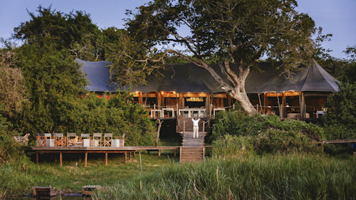 Wilderness Magashi is situated in the productive and phenomenally diverse north-eastern corner of Akagera National Park, overlooking scenic Lake Rwanyakazinga. Akagera comprises some of the most scenic savannah in East Africa – open plains, woodlands, lakes, swamp and grassy low mountains – and is home to one of Africa’s highest hippo densities, large crocodiles, as well as the rare sitatunga and boasting an impressive 520 species of birds. Teeming with plains game, Akagera now also boasts a healthy population of lion which were introduced by African Parks in 2015 after a 20-year absence; black rhino were reintroduced in 2017, and white rhino in 2021. Wilderness Magashi – the only exclusive-use area in Akagera – also harbours a good density of leopard.  

Insider's Tip: Our core Purpose in Akagera is to help conserve Rwanda’s last protected savannah ecosystem, and species like black rhino and the rare and elusive shoebill; furthermore, our presence here will contribute towards enabling it to become economically self-sufficient for the first time.