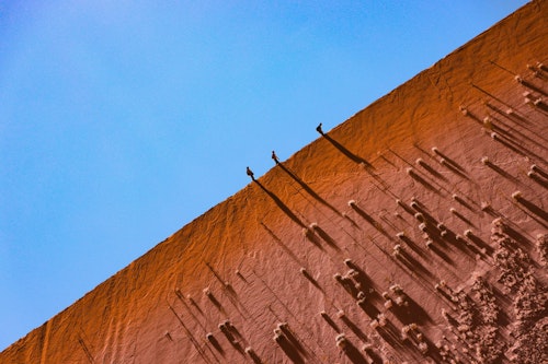 Exploring Sossusvlei with Wilderness comes with the unique privilege of exclusive access through a private gate, allowing you to be among the very first to reach the towering red dunes. Climb iconic Dune 45 or Big Daddy before descending into the pans of Deadvlei, where ancient camelthorn trees stand stark against the sand. 

After returning to camp for a leisurely brunch, your day can continue with guided nature drives, keeping an eye out for springbok, oryx, and ostrich, or on foot with interpretive walks that reveal the desert’s smaller wonders. For those seeking adventure, quad biking and fat biking provide an exhilarating way to explore the world's oldest desert. Evenings bring a slower rhythm, with sundowners and stargazing in some of the clearest night skies on Earth.