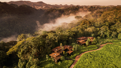 One&Only Nyungwe House is set on the edge of picturesque landscape in Gisakura, Rwanda. This hotel pays homage to Rwandan culture through its locally inspired design, which has been purposely crafted for guests to take full advantage of the views over the resort’s extensive tea plantations. The resort features 22 luxurious rooms and two Presidential Suites. The main area incorporates a cosy lounge, and a dining and bar area that embraces the resort’s beautiful setting. The interiors feature modern amenities in a traditional Rwandan colour palette, and facilities include a swimming pool and relaxing spa.

INSIDER'S TIP: The forest is cited by Birdlife International as “the most important site for biodiversity conservation in Rwanda”.