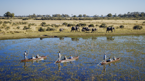 From its location on the western side of remote Hunda Island, Wilderness Tubu Tree has easy access to a diverse range of habitats. Day and night game drives explore productive mopane and acacia woodlands, with Wilderness Tubu Tree being well known for its leopard sightings. Wildlife movements vary with seasonal water levels, meaning that no two Tubu experiences are ever the same – but all are equally wonderful. 

Eight guest tents (including one designed for families) offer breathtaking floodplain views from their elevated positions. In addition to the drama and excitement of game drives, seasonally-available water activities facilitate a different pace and perspective. 

Insider’s Tip: At night a raised deck nearby is transformed into a Star Bed, creating a wondrous sleep-out in the wild under a blanket of stars.


