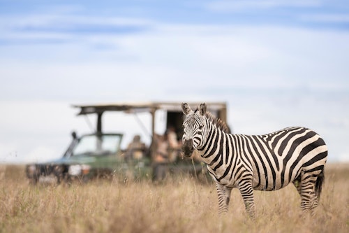 Kenya Safari & Gorilla Trekking