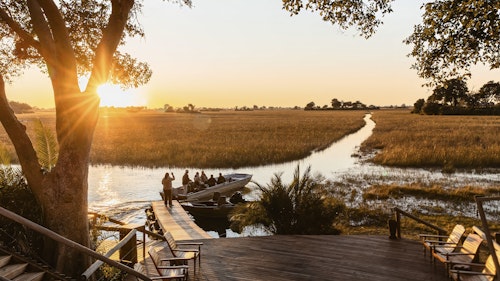 Wilderness Jacana is the archetypal Okavango Delta camp. Situated in the beautiful, expansive Jao Flats, Wilderness Jacana is a place where the rhythms of the arriving (and departing) annual inundation can be seen and felt. The year-round presence of water creates a tranquil environment shared with multitudes of birds – including sought-after ‘Okavango specials’ – and other wildlife which thrives in this unique, water-filled environment.

Wilderness Jacana features five guest tents, each with an outdoor shower. The main area, sheltered beneath giant sycamore fig trees, is the starting point for waterborne voyages of discovery by boat and mokoro (traditional dugout canoe). 

Insider's Tip: A safari at Wilderness Jacana is not complete without enjoying a mokoro ride along the tranquil channels of the Delta. Scan passing trees for the elusive Pel’s fishing-owl!