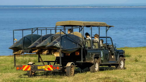 Glide across the serene waters of Lake Manyara, surrounded by breathtaking views and thriving wildlife. This unique water safari offers an intimate glimpse of the park's iconic animalswatch as giraffes, elephants, and buffalos graze along the shoreline, while vibrant birdlife flutters against the dramatic backdrop of Rift Valley cliffs.

Paddle your canoe past the bubbling Majimoto hot springs, where you might spot a pod of hippos. Lasting 2.5 hours, this unforgettable journey departs from the scenic Endala Picnic Site.
