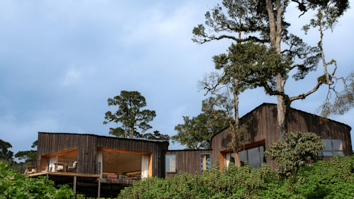 Lemala Osonjoi Lodge opens the door to one of Africa’s most extraordinary wildlife settings– the eastern rim of the Ngorongoro Crater. Located just minutes from the crater floor and close to the Lemala Gate, it offers exclusive access to one of the quietest, most game-rich areas in the Ngorongoro Conservation Area.

Perched on a forested hillside, the lodge features spacious suites designed for comfort and privacy. Each includes a king-sized bed, wood-burning stove, deep soaking tub, and a private daybed nook, ideal for winding down with a book or a drink after a thrilling day. A heated indoor pool, viewing deck, cosy lounge, and tranquil spa suite round out the indulgent experience.

With game drives starting as early as 6am, you can reach the crater floor in just 10–15 minutes, perfect for catching early light and active wildlife. Guided forest walks, crater rim hikes, and private catered lunches deep in the crater complete an unforgettable safari circuit that links seamlessly with other Lemala properties across northern Tanzania.

Insider’s Tip: Ask about the lodge’s private crater floor lunch. Very few properties have the permits to offer this, and it’s a truly rare way to spend the whole day in the heart of the action.