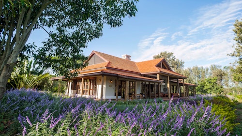 A very private experience on the outskirts of Arusha, the Legendary Lodge is situated on its own genuine coffee plantation with views of Mount Meru spanning behind. Each of the six garden cottages has their own private veranda and is beautifully decorated with a colonial feel. They have large and extremely comfortable beds and a lounge area with a fireplace to take the chill off the cooler African nights. The family cottage has two bedrooms and a private garden which is a superb way to spend some time relaxing in absolute luxury during your stopover in the bustling city pre- or post-safari. Two cosy en-suite rooms in the Old Farmhouse provide a comfortable retreat from which to explore the grounds of this genuine coffee plantation. After roughly an hour’s drive through Arusha, you will arrive onto this working coffee farm and will have the chance to either relax and spend time in the well kept grounds, or venture into the city to see some of the museums and markets on offer. The service is excellent due to the small number of people you will actually be sharing the ground with, and serves as a perfect stopover if you need to stay over in Arusha.