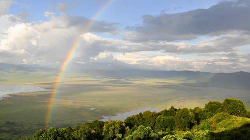 Adventure into the heart of the Ngorongoro Conservation Area and experience the raw beauty of nature in one of the world's most renowned wildlife regions. Discover the ancient volcanic landscape, teeming with wildlife and echoing stories of both natural and cultural history.

Walk through grassy plains, acacia woodlands, and scenic ridges offering spectacular views of Ngorongoro Crater. Along the way, watch for zebras, buffalo, and wildebeests grazing freely. Catch a glimpse the sacred Ol Doinyo Lengai volcano in the distancea sight revered by the Maasai as the "Mountain of God."