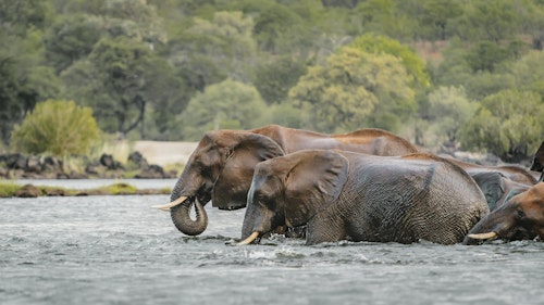 Don't use - A Zambezi Exploration