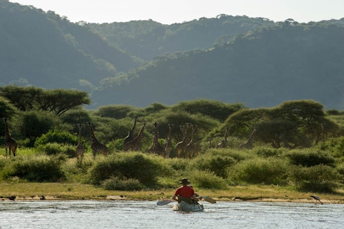 Glide through the tranquil waters of Lake Manyara on a canoeing adventure that brings you closer to Tanzania's vibrant wildlife than ever before. With the stunning Rift Valley escarpment as your backdrop, paddle along the lake's shores where hippos wade, flocks of flamingos gather, and a rich variety of bird species create a symphony of sounds.

As you navigate the calm waters, enjoy unparalleled views of zebras, giraffes, and buffalo grazing at the water's edge, and catch sight of playful baboons and vervet monkeys in the trees overhead. Learn from your knowledgeable guide as they provide fascinating insights into the area's ecosystem.