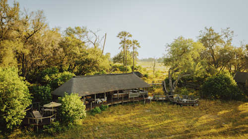On the same island as its sister camp (Wilderness Chitabe), Wilderness Chitabe Lediba is a more intimate destination and is ideally suited to small groups and families. The surrounding mix of savannah, woodlands and palm-dotted floodplains, that characterise this corner of the Delta, support a diversity of species year round. Game drives take in an abundant array of herbivores: giraffes, buffalos, red lechwe, tsessebe, impala and elephants, which in turn attracts the larger predators: lions, leopards, spotted hyenas, cheetahs, and African wild dogs. 

Of the five meru-style guest tents, each decorated in a distinctive and appealing style, two are specifically designed for families having adjoining bedrooms and a shared en-suite bathroom. The dining area, lounge and pool have a glorious vantage over the small lediba (a lagoon within a channel) after which the camp is named and lend themselves to recounting exciting safari tales.  

Insider's Tip: Scan the bush-veld during your evening drive for nocturnal mammals such as civets, genets, bushbabies, owls and leopards.