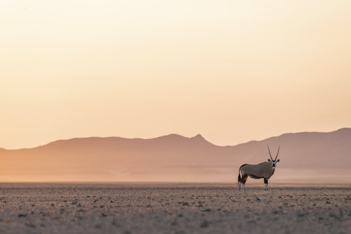 Namibia: From Desert to Sea
