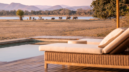 Wilderness Chikwenya overlooks a beautiful stretch of the Zambezi River in the eastern section of Mana Pools National Park, one of the most remote and beautiful areas in Zimbabwe. Views extend over open floodplains down to the legendary river and across to the mountains of the Rift Valley escarpment, while stretching inland behind Wilderness Chikwenya are the dense woodlands so characteristic of the area. The canvas tents are set on low wooden decks and linked to the raised main area by wooden walkways. 

A lounge, dining and bar area offer a sanctuary of hospitality and relaxation, while a pool deck and fire place offer alternate spaces to take in the scenery and passing wildlife. The area is renowned for its large numbers of elephant, buffalo, hippo and eland, especially in winter when they concentrate along the river – these and a variety of predators can be seen from camp.

Insider's Tip: Protein-rich albida pods attract many species, particularly elephant, during the dry season.