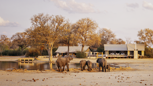 Wilderness Linkwasha is a luxurious camp that lies in a private concession in the enormously productive south-eastern corner of Hwange National Park. Situated on the edge of the famed Ngamo Plains, which offers fantastic summer game viewing, the camp looks over a magnificent plain and a pan that is a magnet for game year round, especially in the dry winter months.

The fresh, open and airy design of Wilderness Linkwasha is complemented by an eclectic mix of contemporary interiors. Nine luxurious en-suite tents (eight twins and one family unit) offer incredible views, while the main area – including multi-level decks, a pool area and a winter lounge complete with library – overlooks the prolific waterhole.

Insider’s Tip: Enjoy the thrill of getting your feet on the ground on a walking safari in the company of Wilderness Linkwasha’s knowledgeable and highly experienced safari guides. 
