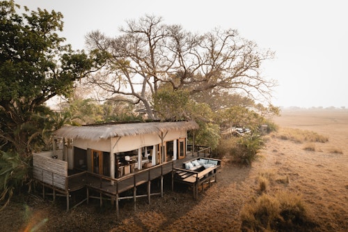 Kafue is vast, remote and utterly wild – with Wilderness Shumba as the perfect camp from which to explore it. Several overlapping pride territories meet here at the "lion’s camp". Panoramic floodplain views are dotted with herds of puku and lechwe, and occasional stands of fig and palm trees. The lions themselves sometimes use these trees as vantage points.

The most luxurious accommodation in Kafue, Wilderness Shumba is open during the dry season each year. It comprises six luxury guest tents (including a family room). Game drives are perfectly complemented by seasonal boating.

Insider's Tip: One of the wildest, most pristine places on Earth. For the abundance and diversity of wildlife, renowned as "the Plains of Plenty".

