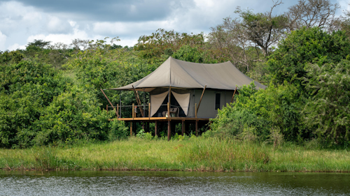 Wilderness Magashi is situated in the productive and phenomenally diverse north-eastern corner of Akagera National Park, overlooking scenic Lake Rwanyakazinga. Akagera comprises some of the most scenic savannah in East Africa – open plains, woodlands, lakes, swamp and grassy low mountains – and is home to one of Africa’s highest hippo densities, large crocodiles, as well as the rare sitatunga and boasting an impressive 520 species of birds. Teeming with plains game, Akagera now also boasts a healthy population of lion which were introduced by African Parks in 2015 after a 20-year absence; black rhino were reintroduced in 2017, and white rhino in 2021. Wilderness Magashi – the only exclusive-use area in Akagera – also harbours a good density of leopard.  

Insider's Tip: Our core Purpose in Akagera is to help conserve Rwanda’s last protected savannah ecosystem, and species like black rhino and the rare and elusive shoebill; furthermore, our presence here will contribute towards enabling it to become economically self-sufficient for the first time.