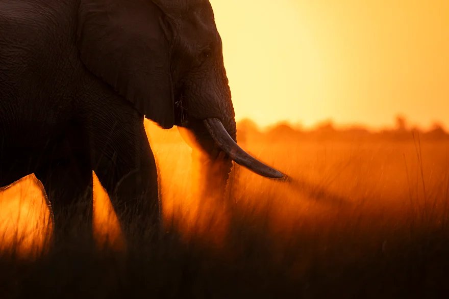 Sample video itinerary preview